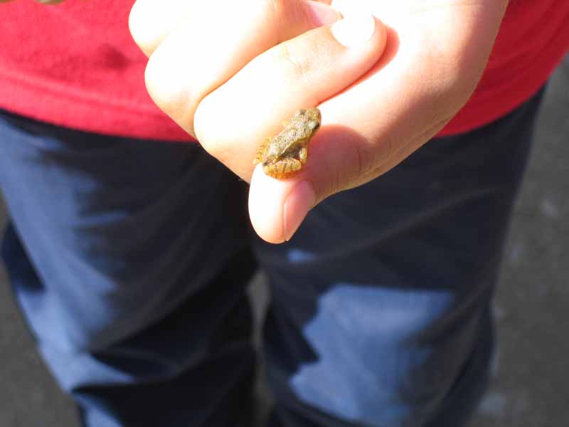 022_super small