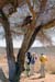 helene_hoggar_35