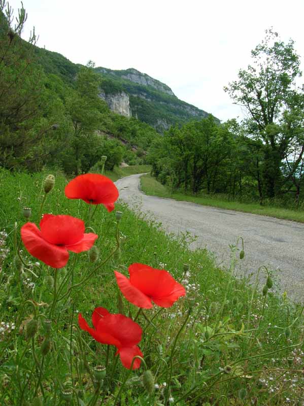 2006-05 Lac du Bourget 030